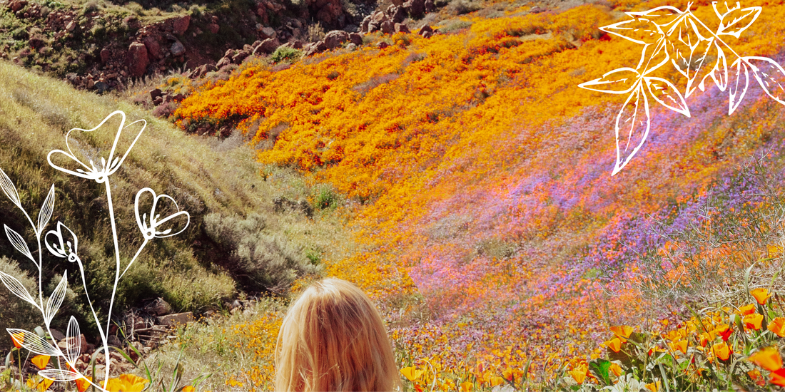 Finding Your Wild: Why Creativity Matters More Than the Finished Product