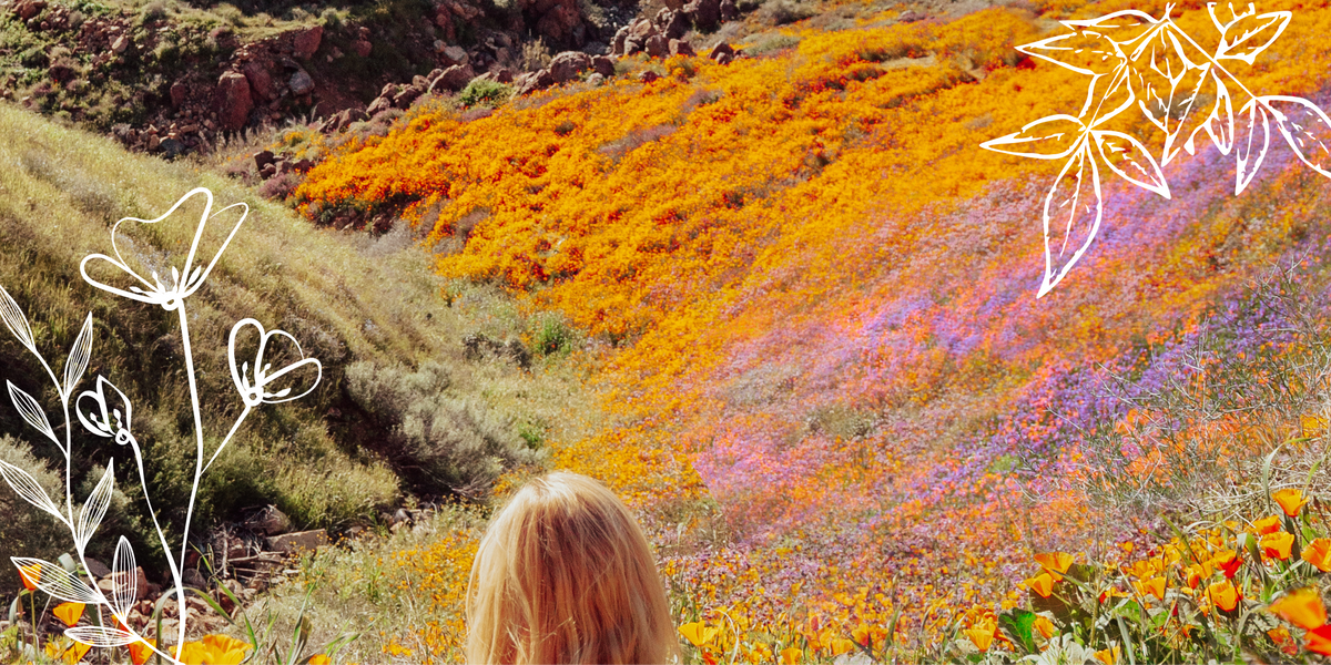 Finding Your Wild: Why Creativity Matters More Than the Finished Product